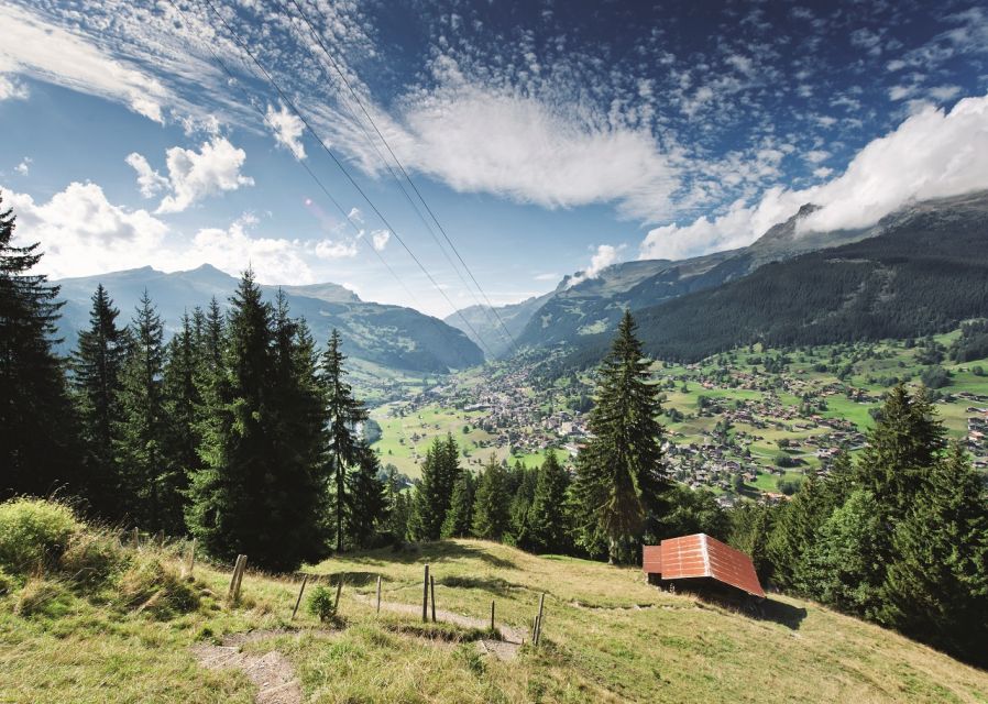 From Lucerne: Day Trip to Grindelwald & Lauterbrunnen - Guide style, coach comfort, and small practical points