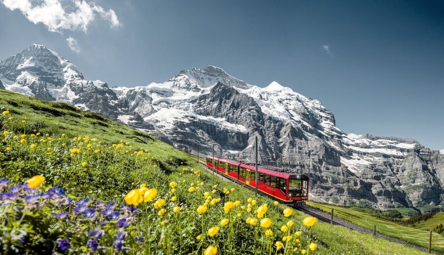 From Lucerne: Day Trip to Jungfraujoch – Top of Europe - Food and breaks at the Top of Europe