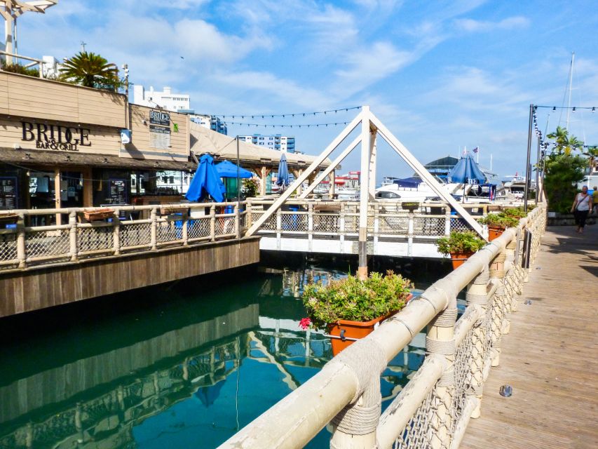 From Malaga: Day trip to Gibraltar and Dolphin Boat Tour - Is $73 good value for a full day?