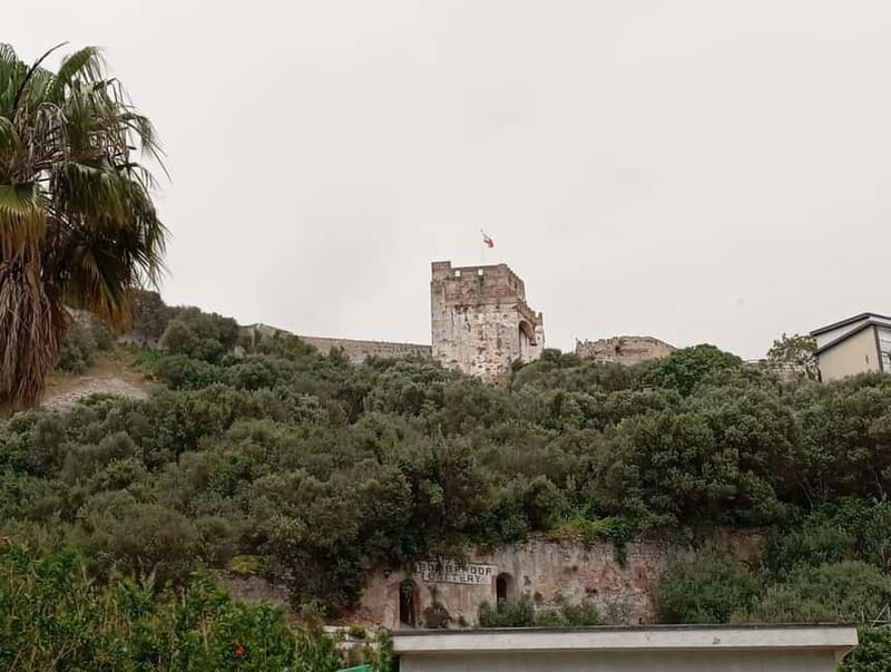 From Málaga: Gibraltar Day Trip - Meeting the Barbary apes and visiting the cave