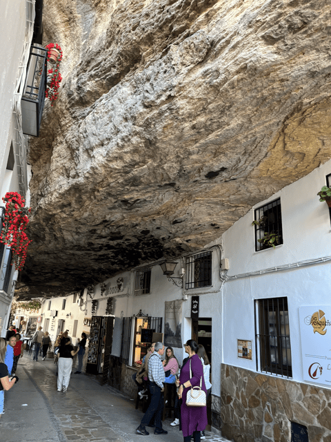From Malaga: Ronda and Setenil de las Bodegas Day Trip - How the guide affects the day