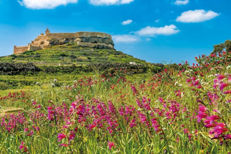 From Malta: Gozo Day Trip Including Ggantija Temples - Ggantija Temples: the day’s ancient centerpiece