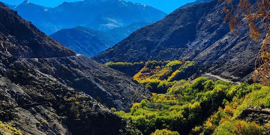From Marrakech: Atlas Mountains Day Trip with Camel Ride - Should you book it?