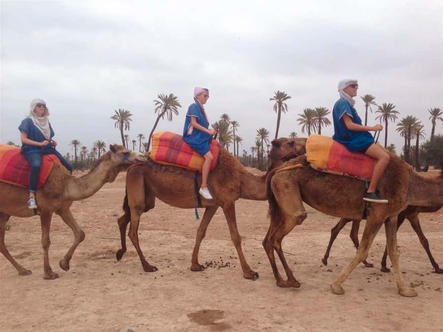 From Marrakech: Camel Ride, Quad Bike & Spa Full-Day Trip - Mint tea, local conversation, and a short cultural stop