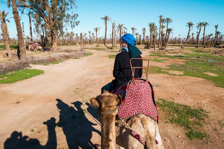From Marrakech: Camel Ride, Quad Bike & Spa Full-Day Trip - A gentle camel ride through the palm grove