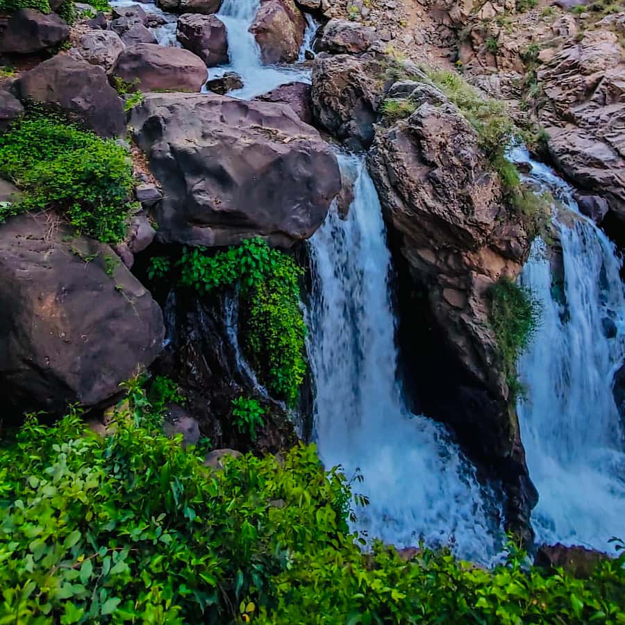 From Marrakech: Day Trip to Anima Garden and Imlil Valley - Key points at a glance