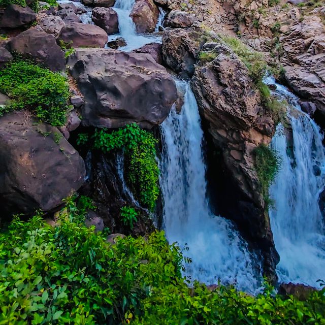From Marrakech: Day Trip to Anima Garden and Imlil Valley - The argan cooperative stop
