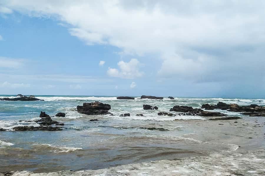 From Marrakech: Essaouira Day Tour with Optional Activities - Fresh Fish, Market Food, and Lunch Choices