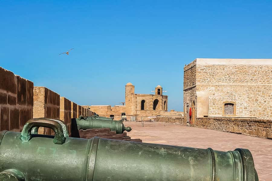 From Marrakech: Essaouira Day Tour with Optional Activities - The Beach, Wind, and Optional Rides