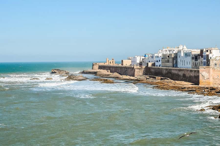 From Marrakech: Essaouira Day Tour with Optional Activities - Is $21 Good Value?