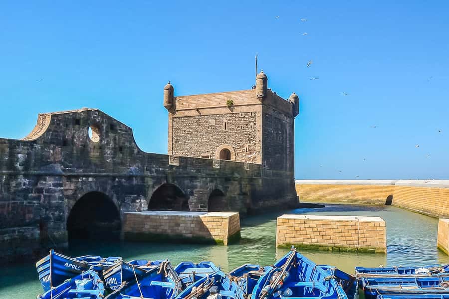 From Marrakech: Essaouira Day Tour with Optional Activities - Who Should Book This Day Trip?