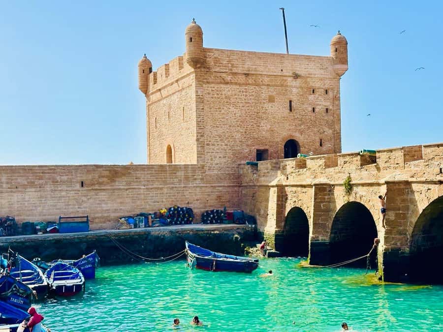 From Marrakech: Essaouira Day Trip with Beach Activities - What makes this Essaouira trip worth your day