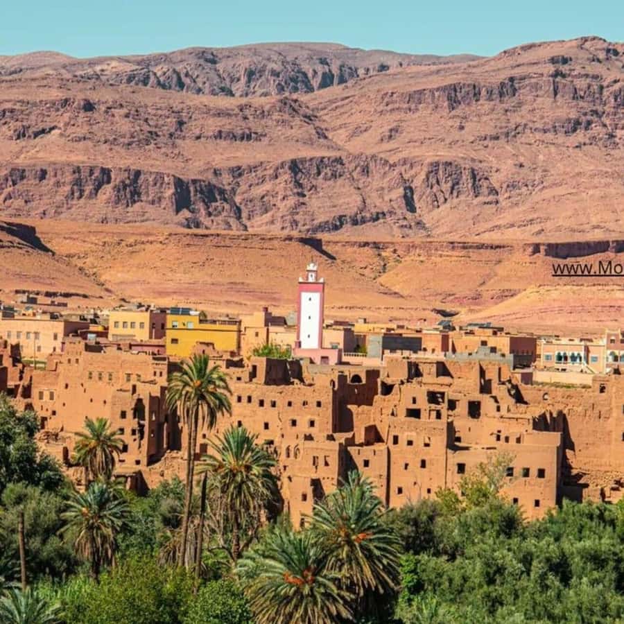 From Marrakech: Ouarzazate & Ait Benhaddou Guided Day Trip - Lunch: where the value can change