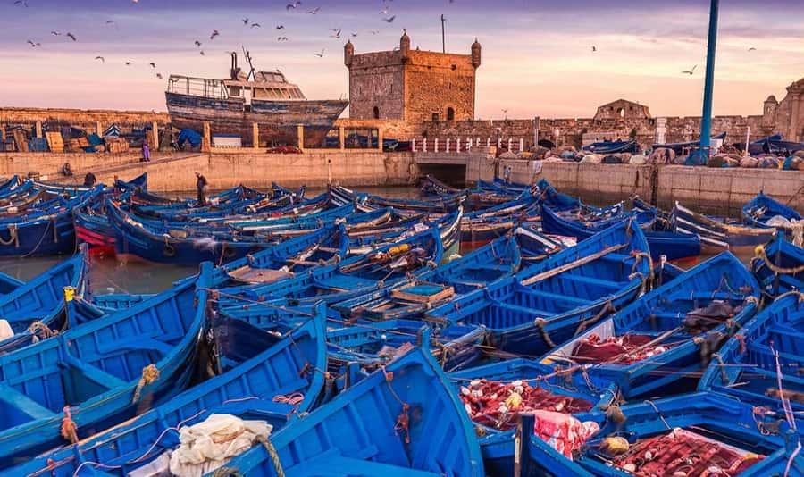 From Marrakech: Small Group to Essaouira & Sekkala Day Trip - The long road from Marrakech to the Atlantic