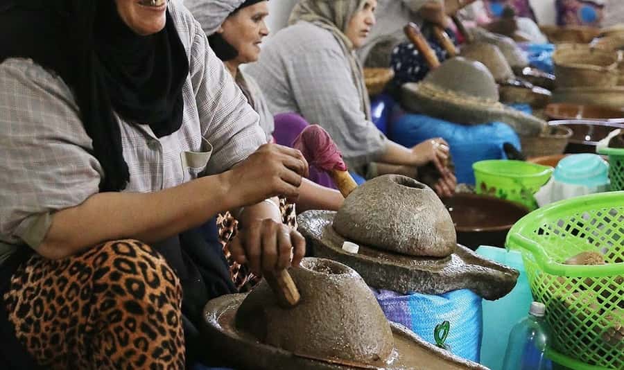 From Marrakech: Small Group to Essaouira & Sekkala Day Trip - What the guiding is really like