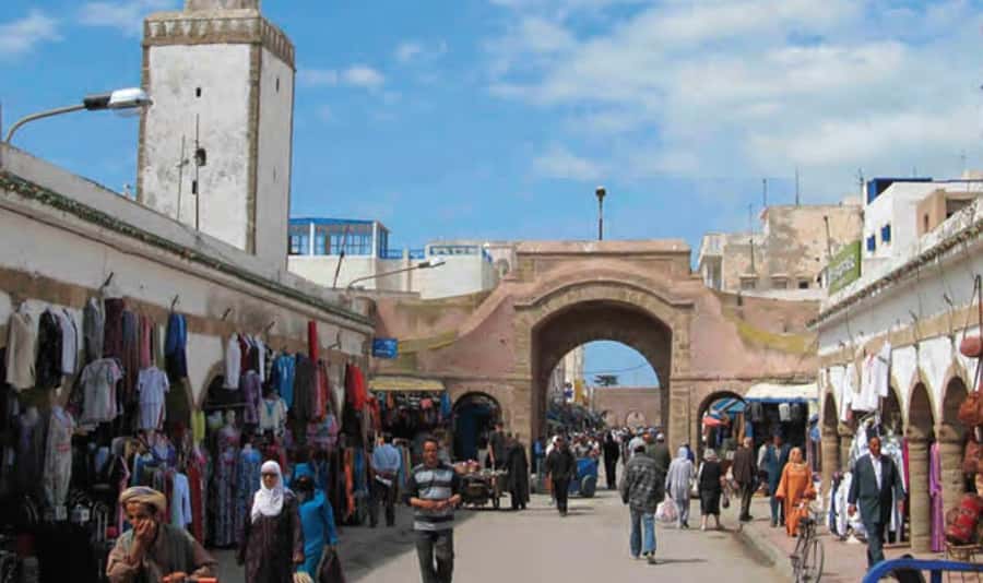 From Marrakech: Small Group to Essaouira & Sekkala Day Trip - Price, comfort, and the real value