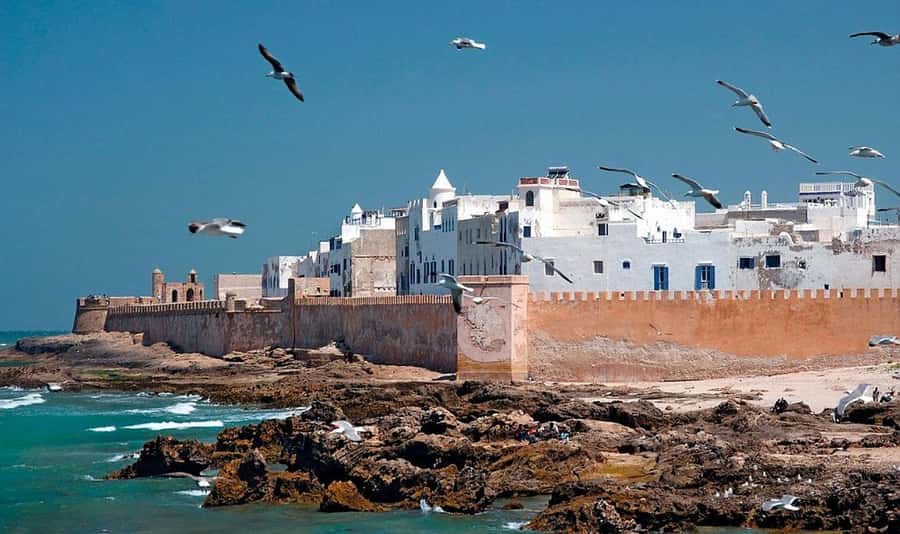 From Marrakech: Small Group to Essaouira & Sekkala Day Trip - Should you book it?