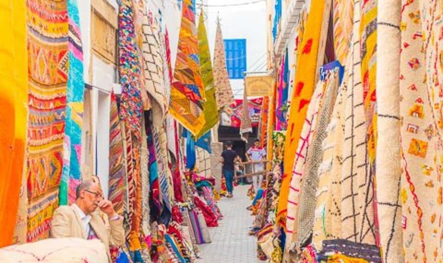 From Marrakech: Small Group to Essaouira & Sekkala Day Trip - The first roadside pause and the argan cooperative