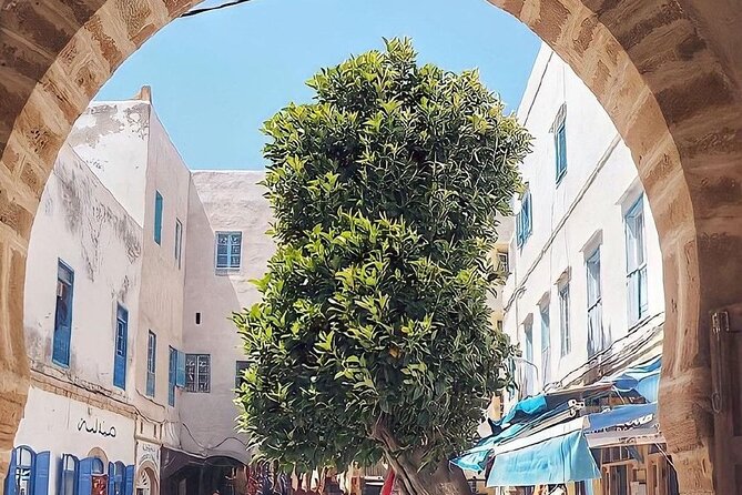 From Marrakech To Essaouira Mogador Full Day Trip | Small-group - Guide quality and communication