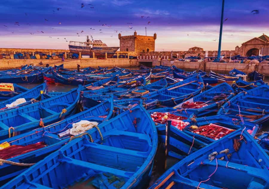 From Marrakesh: Essaouira Full-Day Trip - Key points at a glance