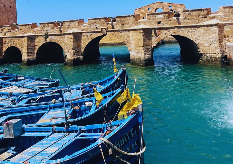 From Marrakesh: Essaouira Full-Day Trip - Is $20 really good value?