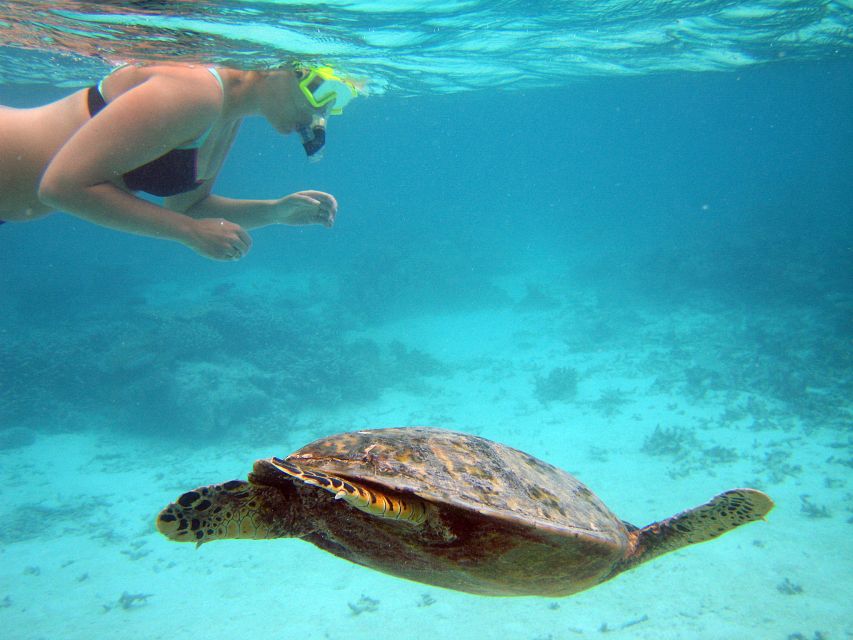 From Miami: Key West Day Trip - Why Key West works as a Miami day trip