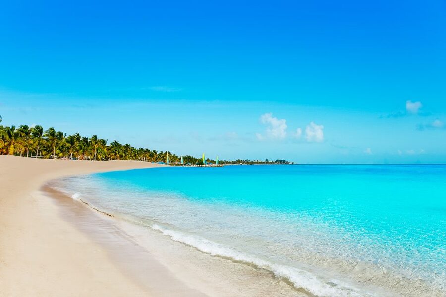 From Miami: Key West Day Trip - What the guides add to the day