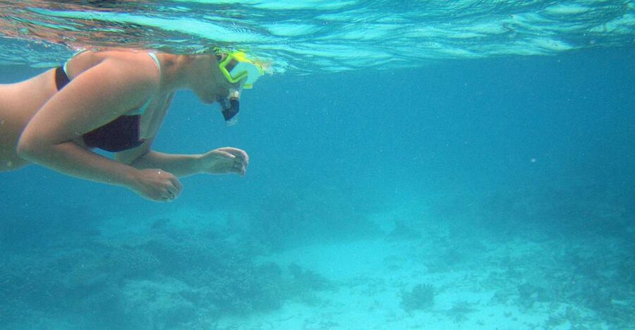 From Miami: Key West Day Trip - Is $75 a good value?