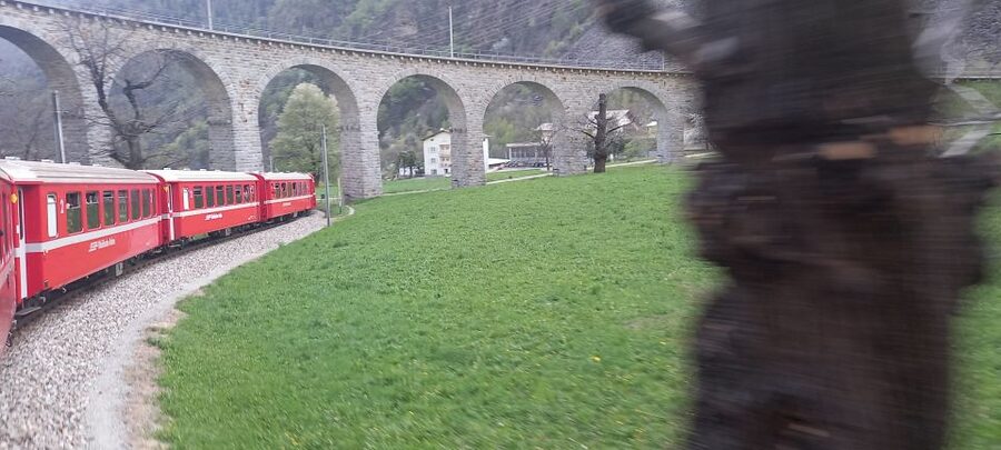From Milan: Bernina Train, Swiss Alps & St. Moritz Day Trip - Who will enjoy this trip most?