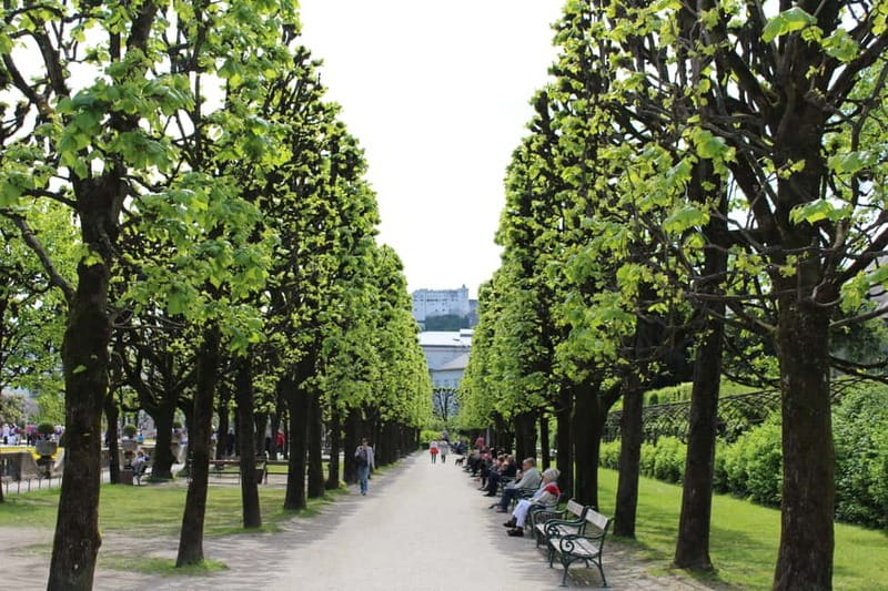 From Munich: Salzburg Day Trip by Train - The Train Ride Sets the Pace