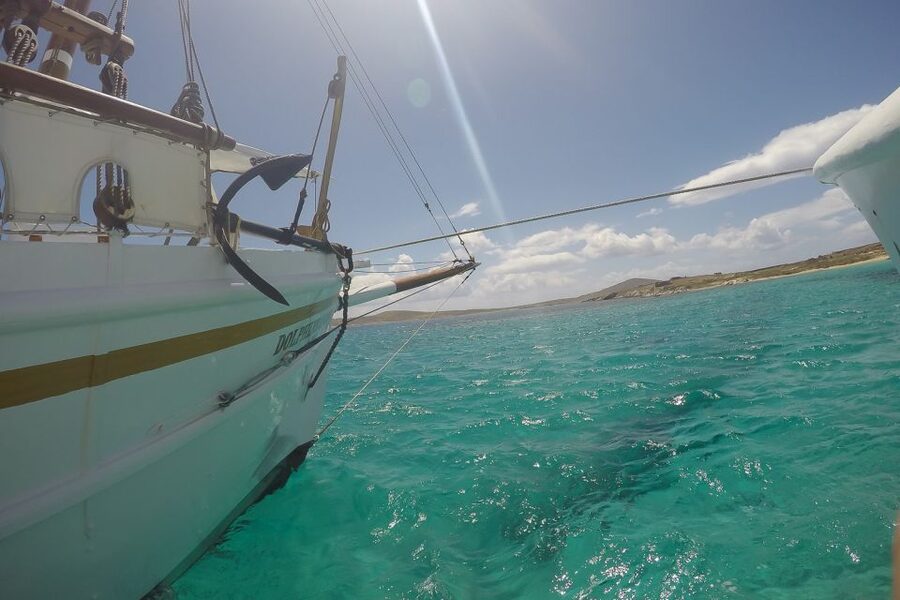 From Mykonos: Delos & Rhenia Islands Half-Day Trip by Boat - Rhenia: swim first, lunch second