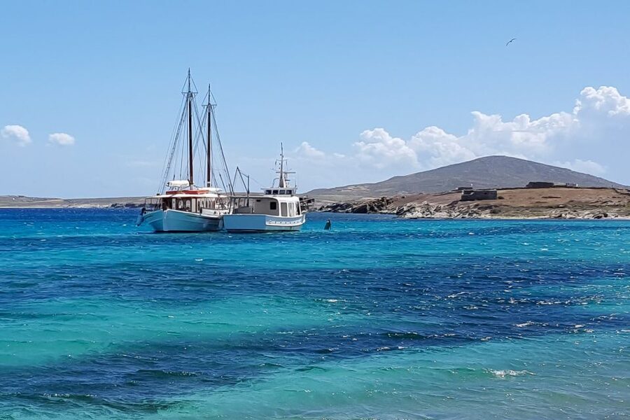 From Mykonos: Delos & Rhenia Islands Half-Day Trip by Boat - The BBQ lunch and drinks