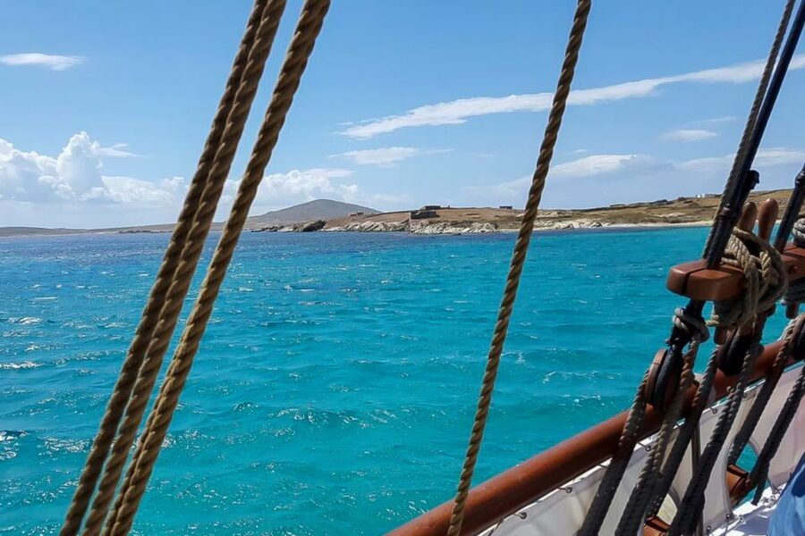 From Mykonos: Delos & Rhenia Islands Half-Day Trip by Boat - What the $101 price really covers