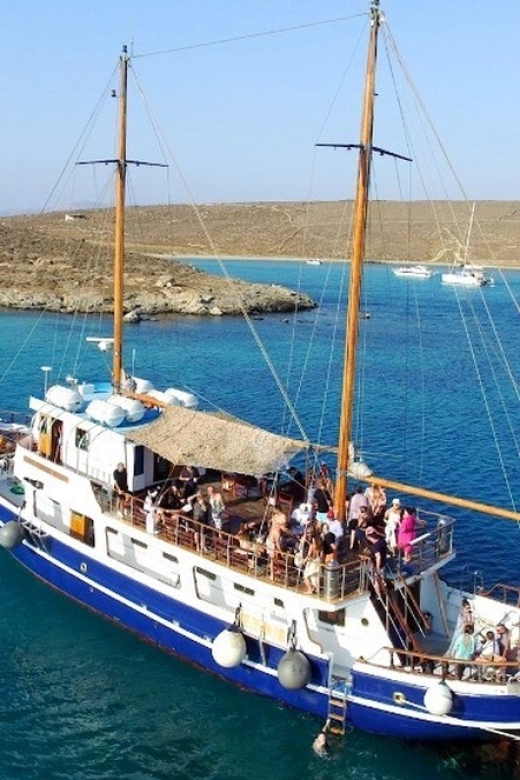 From Mykonos: Delos & Rhenia Islands Half-Day Trip by Boat - Who should book this outing?