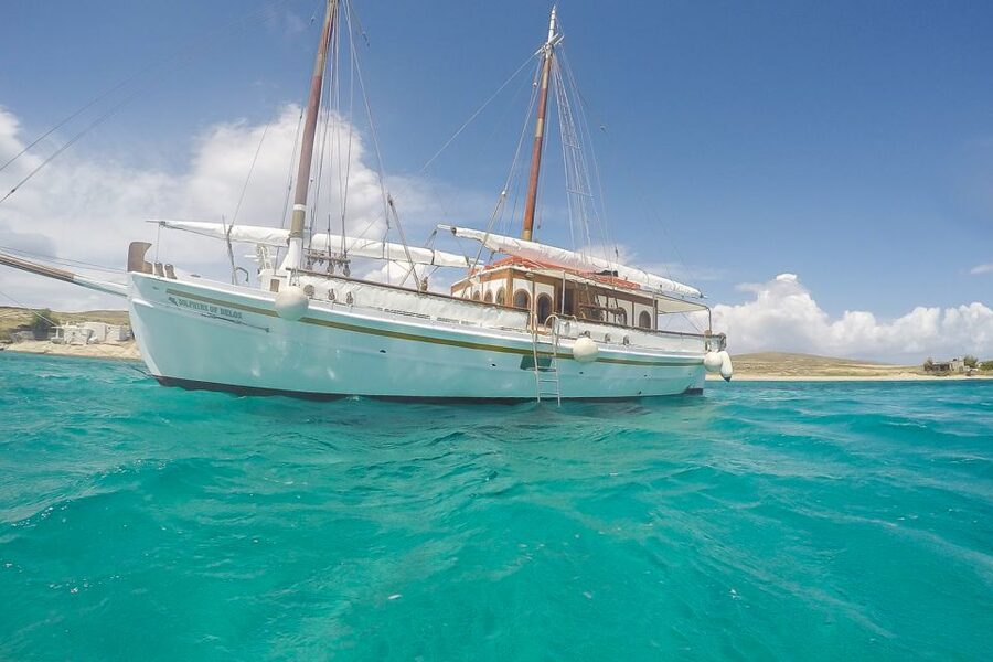 From Mykonos: Delos & Rhenia Islands Half-Day Trip by Boat - Meeting at the Old Port