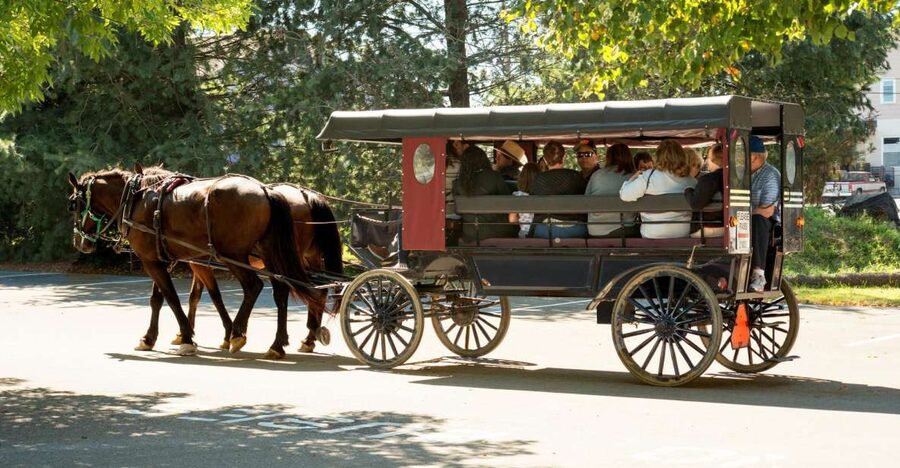 From NYC: Day Trip to Philadelphia and Amish Country - One day, two very different Pennsylvanias