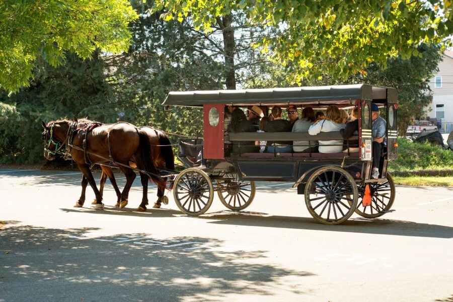 From NYC: Day Trip to Philadelphia and Amish Country - Transportation and guide quality