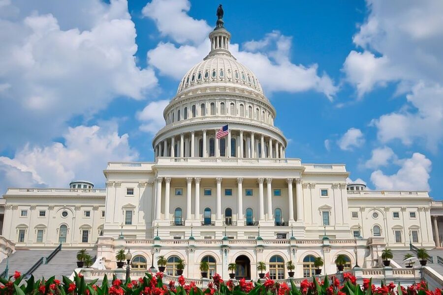 From NYC: Guided Day Trip to Washington DC by Van or Bus - Is a day trip from New York to Washington DC worth the long ride?