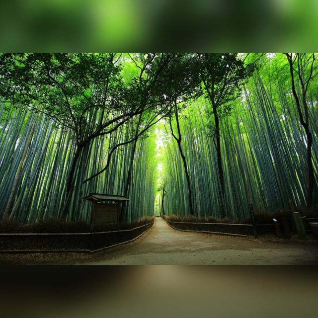 From Osaka/Kyoto: Private Kyoto & Nara Day Trip with Pickup - One long day from Osaka, Kyoto, or Kobe