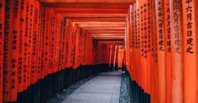 From Osaka/Kyoto: Private Kyoto & Nara Day Trip with Pickup