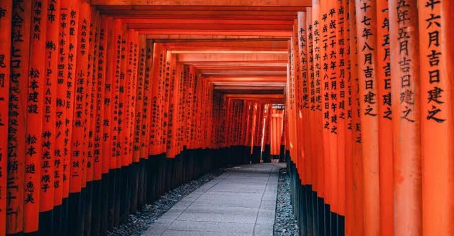 From Osaka/Kyoto: Private Kyoto & Nara Day Trip with Pickup - Nara Park and the bowing deer