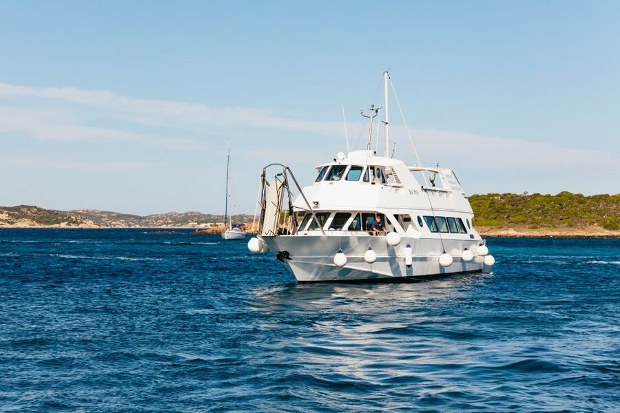 From Palau: La Maddalena Islands Full-Day Trip by Boat - What the $59 price really buys you