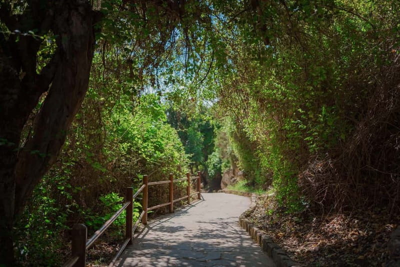 From Paphos: Blue Lagoon and Baths of Aphrodite Day Trip - Key things to know before booking