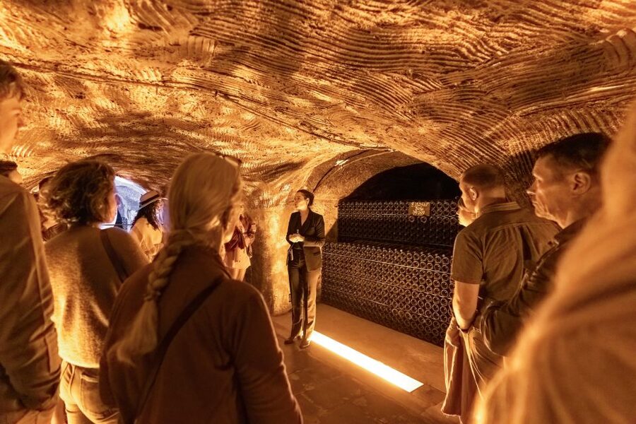 From Paris: Day Trip to Champagne with 8 Tastings & Lunch - The second producer and the value of comparison
