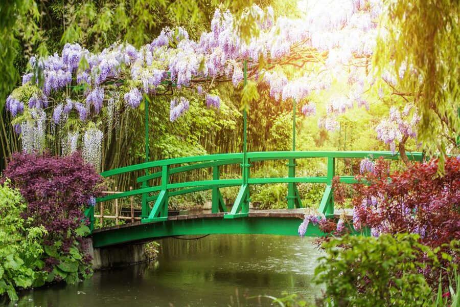 From Paris: Giverny and Versailles Palace Guided Day Trip - Versailles palace with a live guide