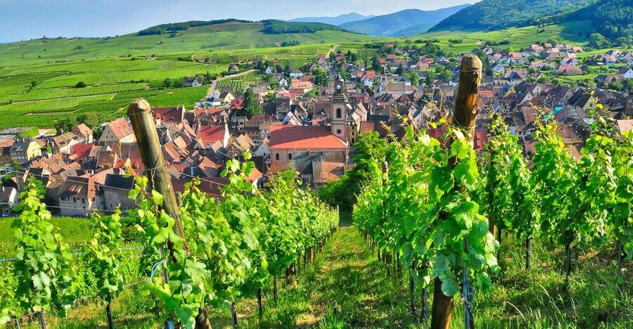 From Paris: Small-Group Champagne Day Trip with Six Tastings - Why this Champagne day trip works