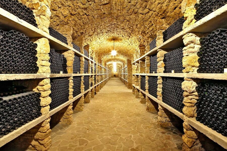 From Paris: Small-Group Champagne Day Trip with Six Tastings - What the drive and minibus are really like