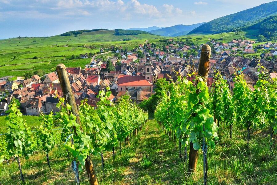 From Paris: Small-Group Champagne Day Trip with Six Tastings - Six tastings, but no food pairing