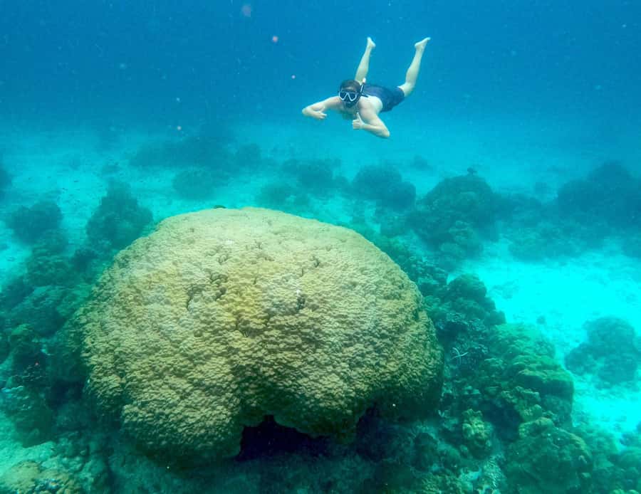 From Phuket: Day Trip to Phi Phi with Private Longtail Tour - Pileh Lagoon and the best water views
