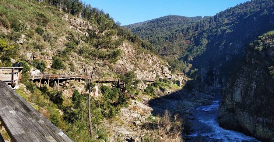 From Porto: Arouca 516 and Paiva Walkways Guided Day Trip - The 300 stairs to Arouca 516